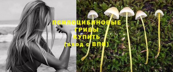 соль курить ск Абаза