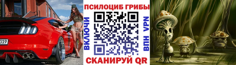 Псилоцибиновые грибы Magic Shrooms  Горячеводский 